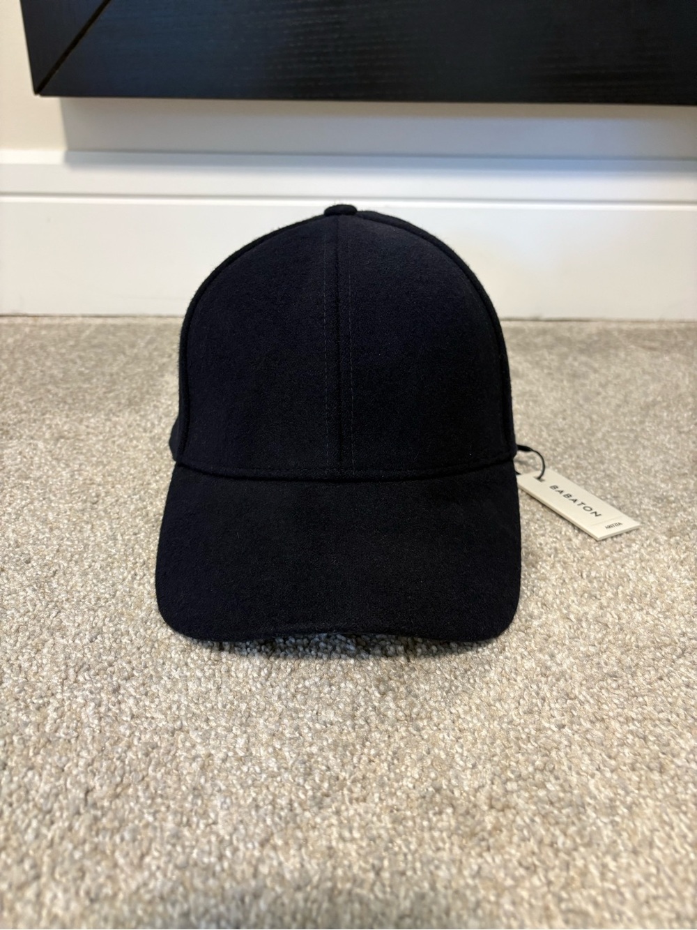 Aritzia Babaton Premier Wool Cap